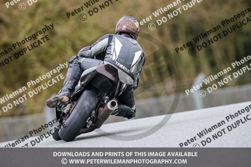 Oulton Park 14th March 2020;PJ Motorsport Photography 2020;anglesey;brands hatch;cadwell park;croft;donington park;enduro digital images;event digital images;eventdigitalimages;mallory;no limits;oulton park;peter wileman photography;racing digital images;silverstone;snetterton;trackday digital images;trackday photos;vmcc banbury run;welsh 2 day enduro